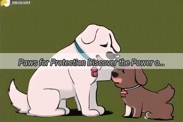 Paws for Protection Discover the Power of Rabies Vaccination for Your Furry Friend